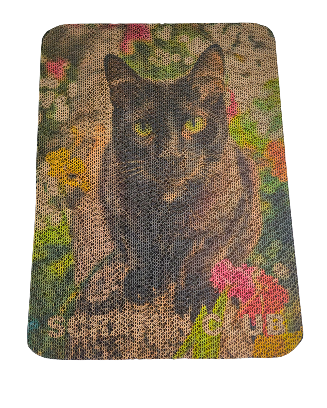 Painting Cat Scratcher